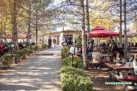 Çatı Cafe Çatı Cafe