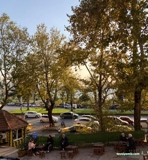 Çatı Pub