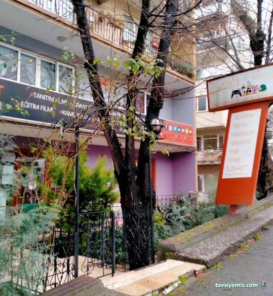 Catish & Dogish Veteriner Kliniği