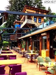 Çayla Rize Çayla Rize