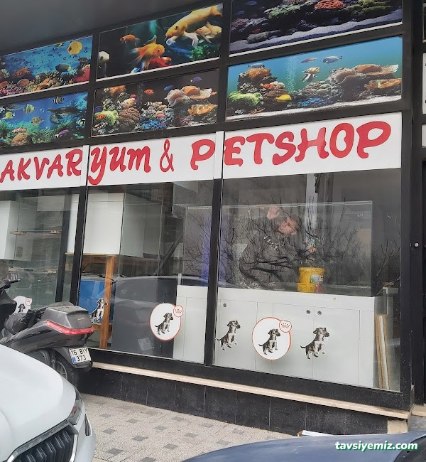 Bursa Cihan Akvaryum & Petshop