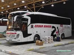 Cesur Bingöl Cesur Bingöl