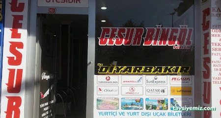 Cesur Bingöl Cesur Bingöl