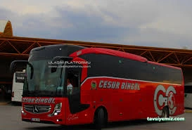 Cesur Bingöl Cesur Bingöl