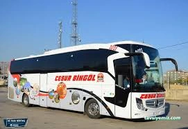 Cesur Bingöl Cesur Bingöl