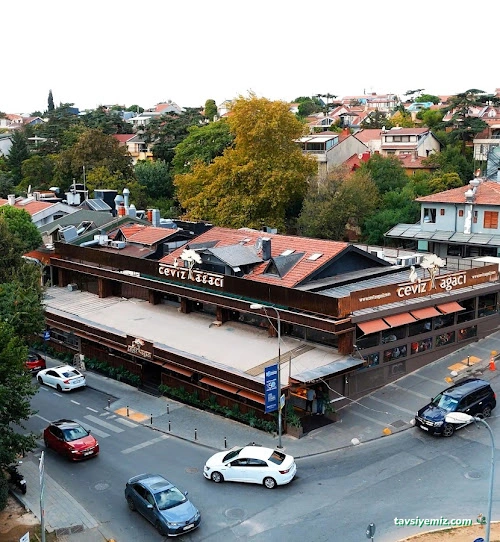 Ceviz Ağacı