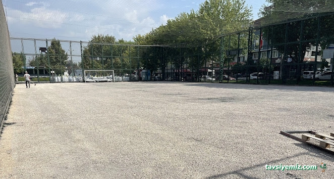 Çiftehavuzlar Spor Tesisleri Halısaha