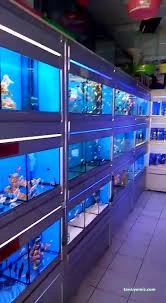 Ciklet Pet Shop