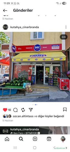 Çinar Branda