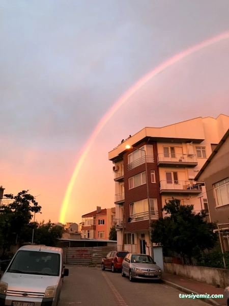 Çınar Fotoğrafçılık Çınar Fotoğrafçılık