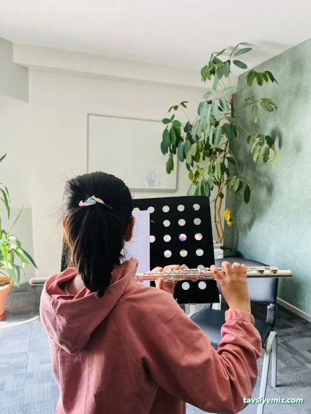 Çınar Müzik Ve Resim Kursu Çınar Müzik Ve Resim Kursu