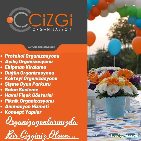 Çizgi Organizasyon Çizgi Organizasyon