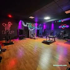 Concept Fit50 Fitness Club Concept Fit50 Fitness Club