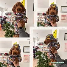 Çorum Petlife Veteriner Kliniği Çorum Petlife Veteriner Kliniği