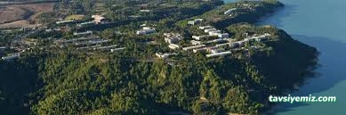 Çukurova Üniversitesi Çukurova Üniversitesi