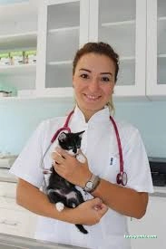 Damla Veteriner Kliniği Damla Veteriner Kliniği