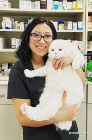 Damla Veteriner Kliniği Damla Veteriner Kliniği