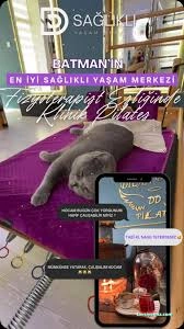 Dd Sağlıklı Yaşam Merkezi Dd Sağlıklı Yaşam Merkezi