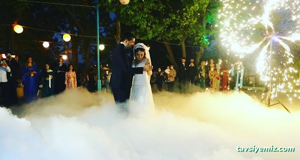 Çam Kır Düğünü & Restaurant Çam Kır Düğünü & Restaurant