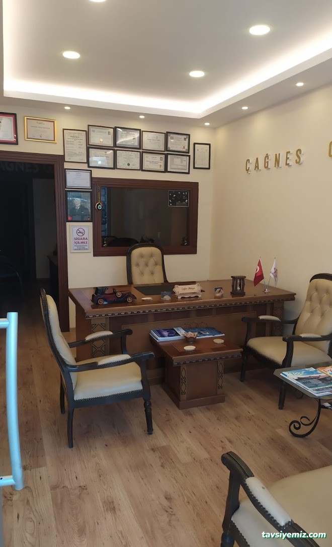 Çağnes Gayrimenkul Çağnes Gayrimenkul