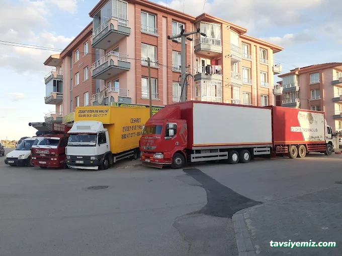 Demircioglu Nakliye Ve Kömürcülük Demircioglu Nakliye Ve Kömürcülük