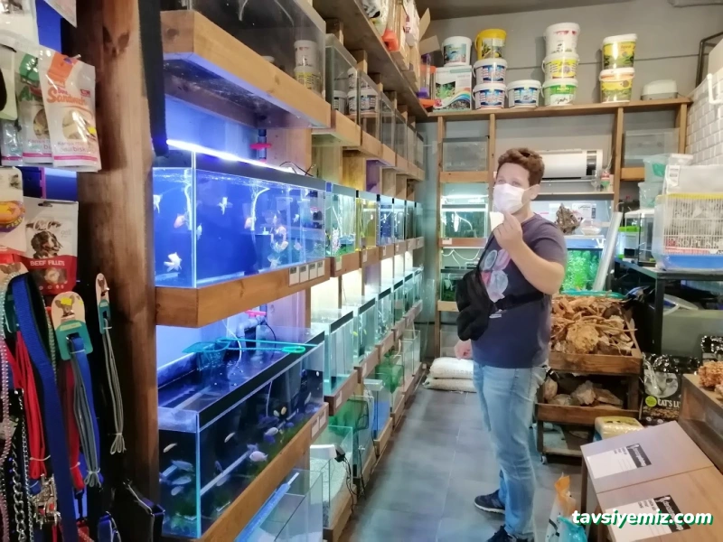 Denizatı Petshop Yalova Denizatı Petshop Yalova