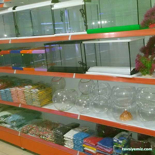 Denizdibi Akvaryum Denizdibi Akvaryum