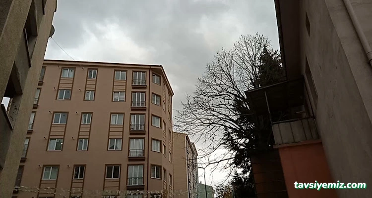 Detay Oto Kuaför & Oto Yıkama Detay Oto Kuaför & Oto Yıkama