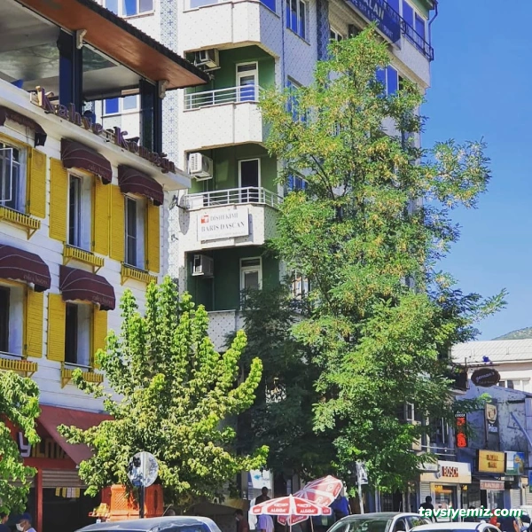 Diş Hekimi Barış Daşcan Diş Hekimi Barış Daşcan