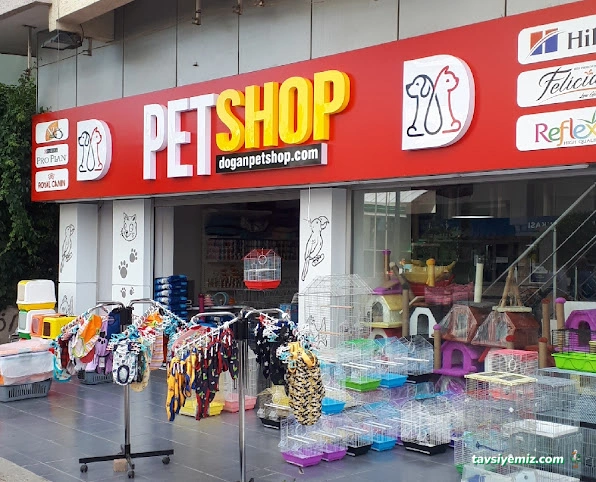Doğan Petshop 1-Güllük