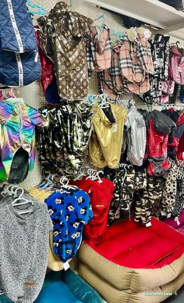 Doğan Petshop 1-Güllük