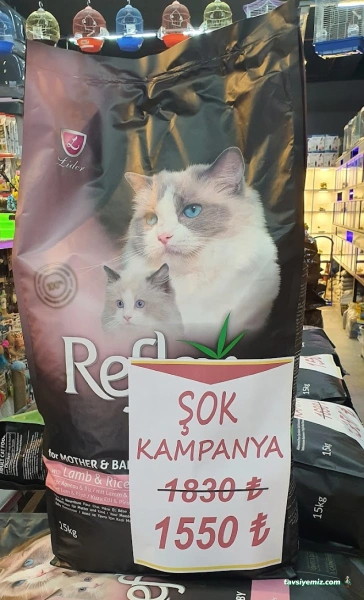 Dost Petshop