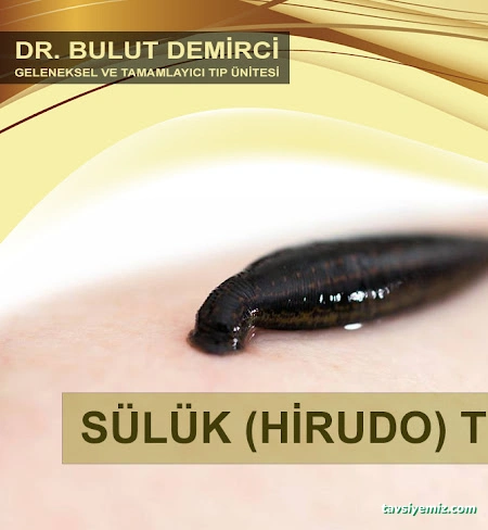 Dr. Bulut Demirci Geleneksel Ve Tamamlayıcı Tıp Ünitesi Dr. Bulut Demirci Geleneksel Ve Tamamlayıcı Tıp Ünitesi