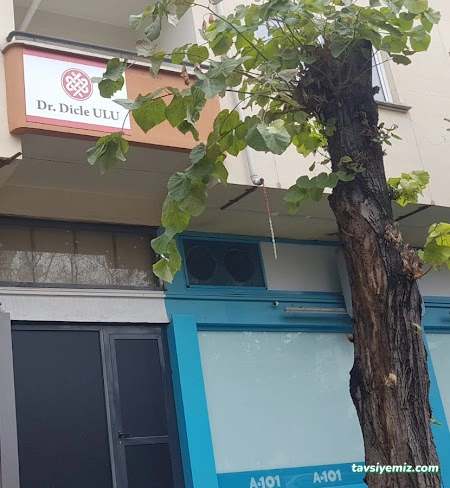 Dr. Dicle Ulu Hacamat, Akupunktur, Mezoterapi, Hipnoz Eskişehir Dr. Dicle Ulu Hacamat, Akupunktur, Mezoterapi, Hipnoz Eskişehir