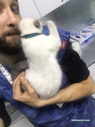 Dr. Haw. Hayvan Sağlığı Merkezi Dr. Haw. Hayvan Sağlığı Merkezi