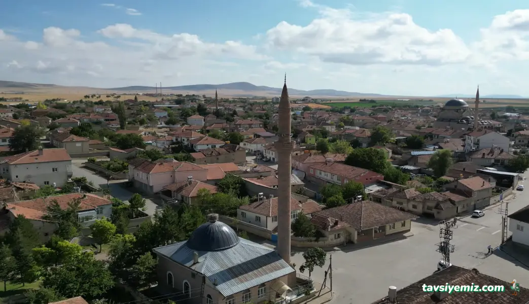 Drone Seyir