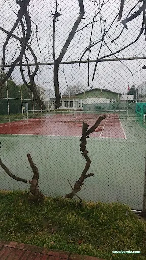 Dsispor Tenis Kulübü Dsispor Tenis Kulübü