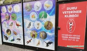Duru Veteriner Kliniği/Kanatlı Hayvan Kliniği Duru Veteriner Kliniği/Kanatlı Hayvan Kliniği