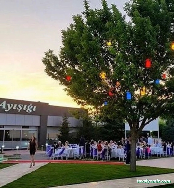Düzce Ayışığı Kır Düğünü Ve Cafe Düzce Ayışığı Kır Düğünü Ve Cafe