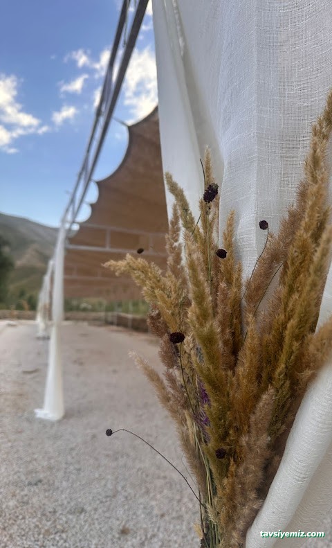 Havin Kır Düğün Evi Havin Kır Düğün Evi