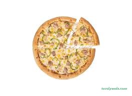 Terra Pizza Van Terra Pizza Van