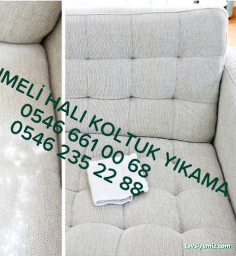 Aksaray Hanımeli Halı Yıkama Aksaray Hanımeli Halı Yıkama