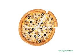Terra Pizza Van Terra Pizza Van