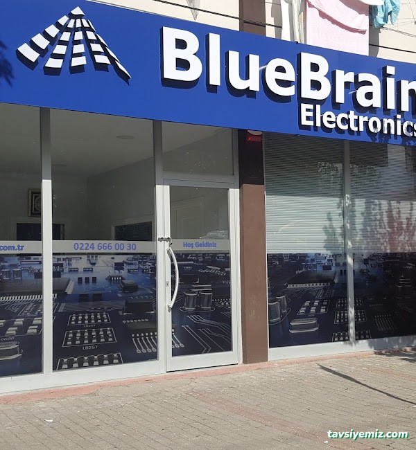Bluebrain Electronics Bluebrain Electronics