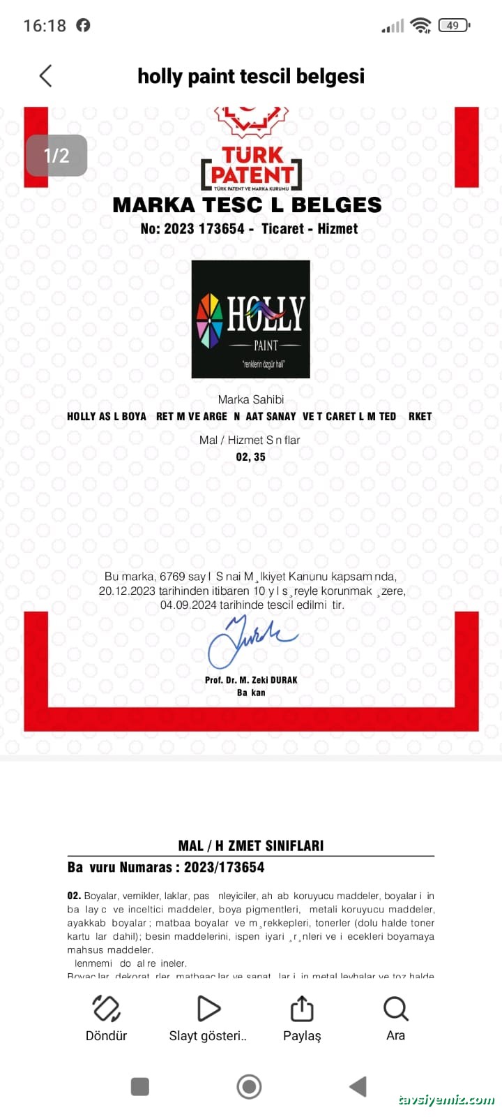 Holly Asıl Boya