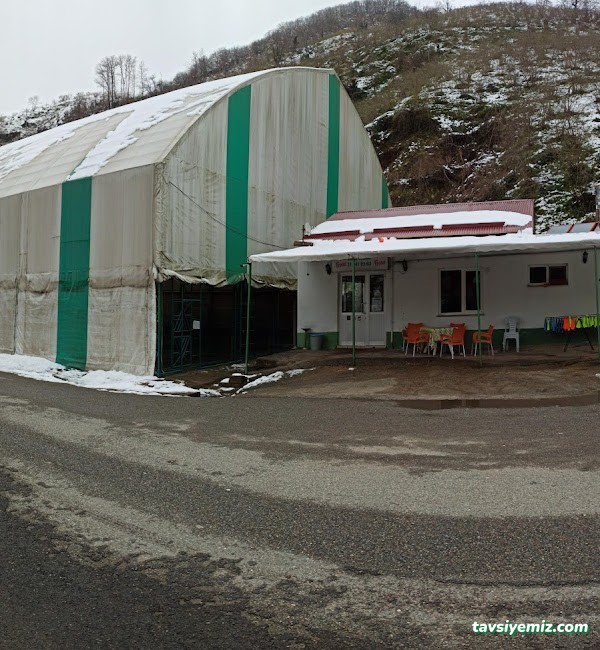 Çotanak Halısaha Giresun