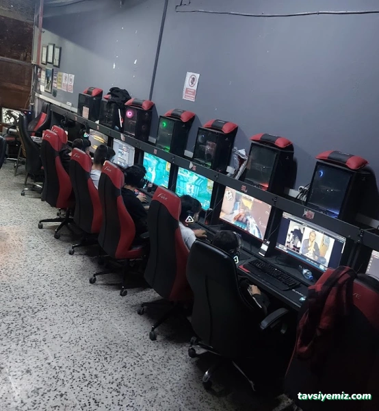 Mimoza İnternet Mimoza İnternet