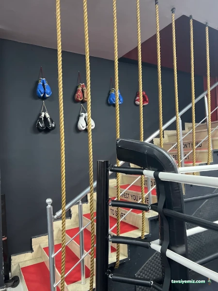 Edis Fıght Academy Edis Fıght Academy