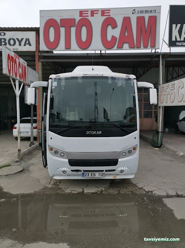 Efe Oto Cam