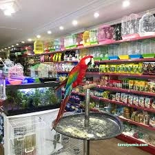 Efe Petshop Efe Petshop
